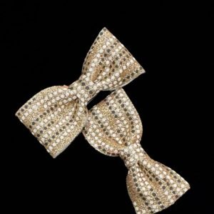 Glittery Shimmery Dotted Hairclips